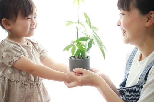 保育士/パート　地下鉄 白石より徒歩7分　週2日〜・平日のみの勤務OK！　希望休・有休消化しやすい環境　未経験の方・ブランクのある方も歓迎！